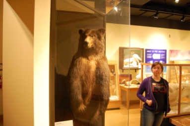 Ber and a Kodiak Bear