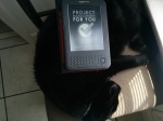 Project Management For You on Kindle with avid reader cat, Bagheera